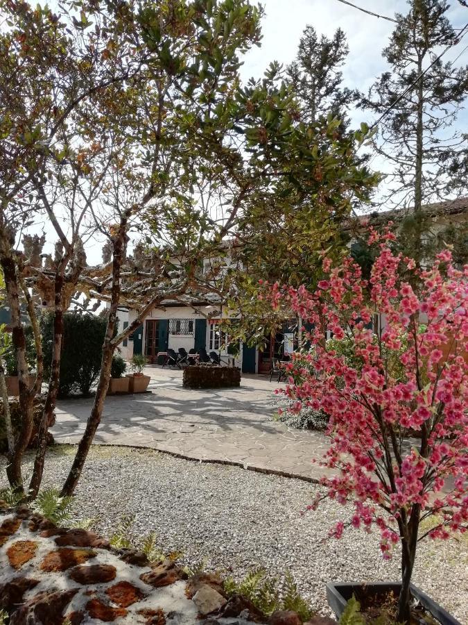 L'Auberge De Lugos Exteriér fotografie